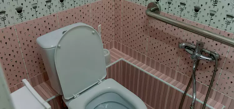 Meeting Diverse Needs With Accessible Restroom Solutions in Joliette, QC